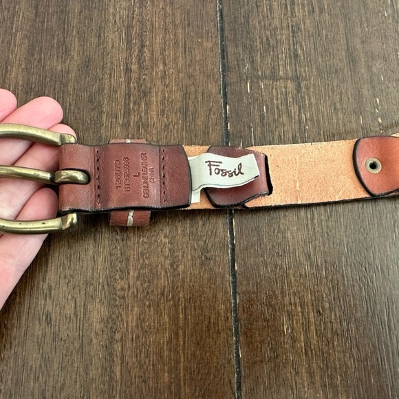 Fossil belt - Picture 4 of 12